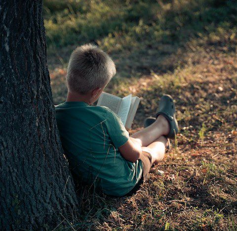 Boy reading under a tree